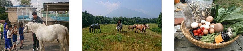 100年後の東北の里山にも馬たちの放牧風景を残すために、引退競走馬や乗馬たちとつくる馬の堆肥でウマい野菜の宅配サービス『うまeベジ』と循環型社会の構築