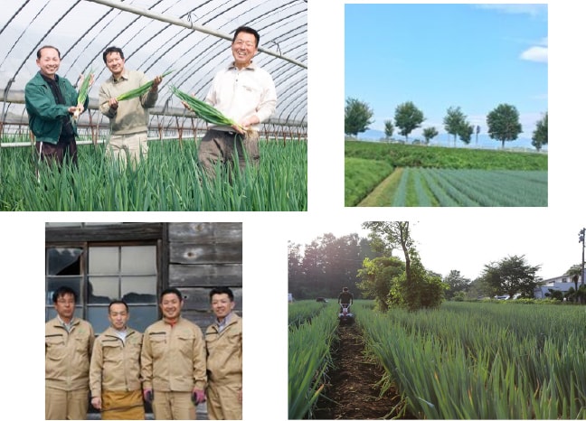 荒れ野を開墾して、ふるさとを守る！！〜長ネギ大規模生産で、農業後継者と障がい者を雇用〜