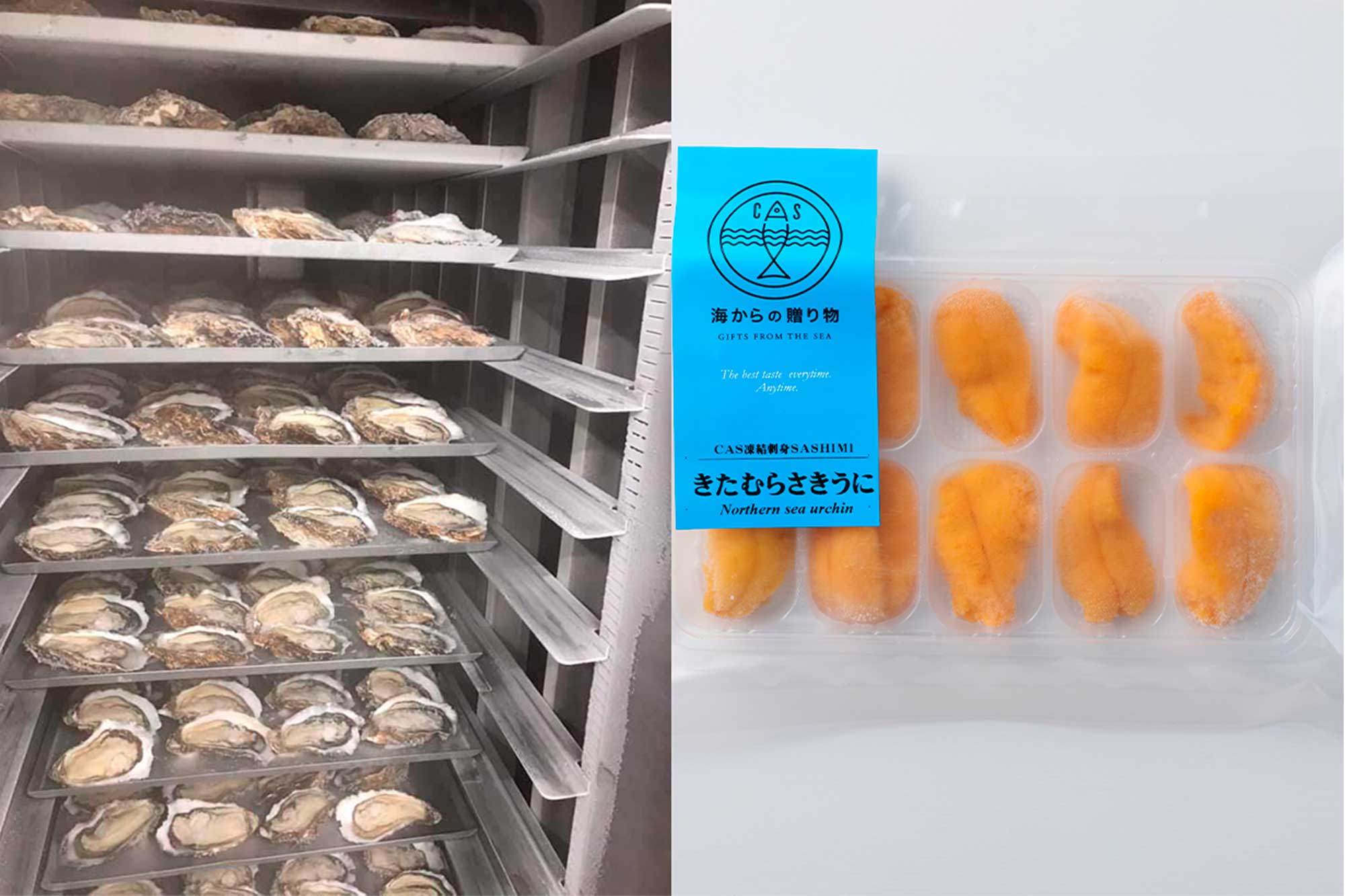 有限会社 三陸とれたて市場