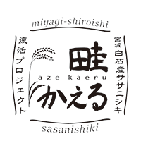 白石産ササニシキ復活プロジェクト