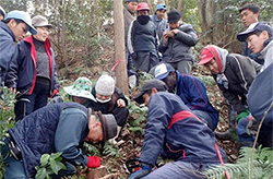 海岸林再生プロジェクト10ヵ年計画報告会