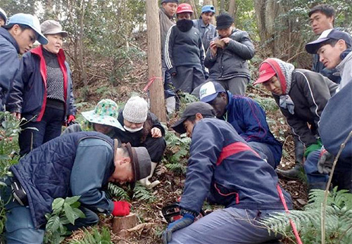 海岸林再生プロジェクト10ヵ年計画報告会